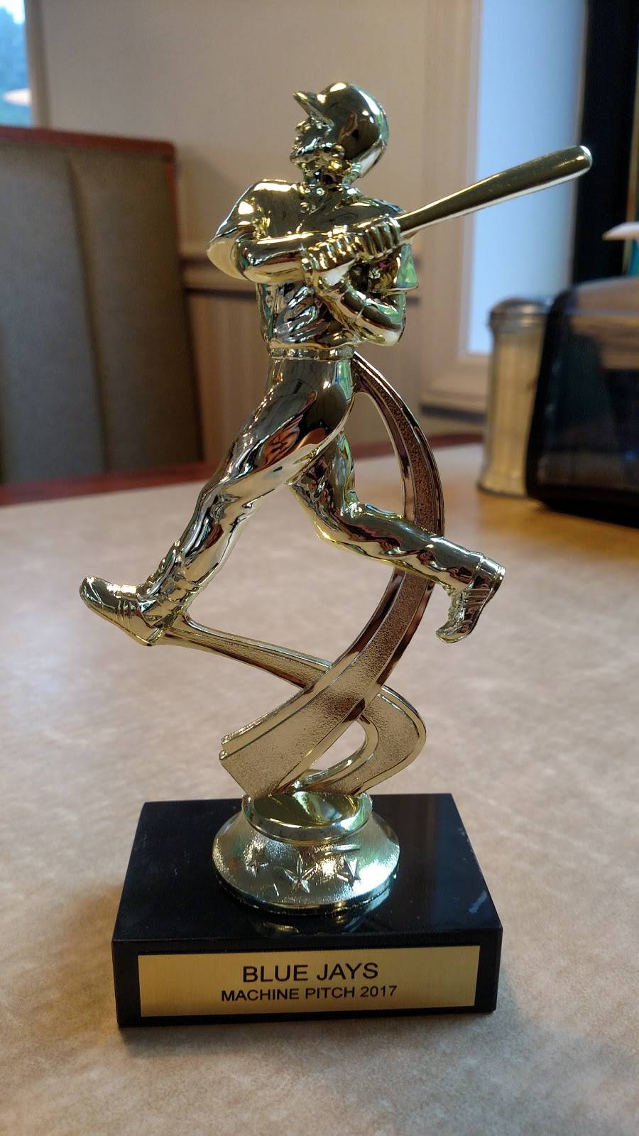 Village Inn Pizza Parlor | restaurant | 432 E 2nd St, West Jefferson, NC 28694, USA | 3368462200 OR +1 336-846-2200