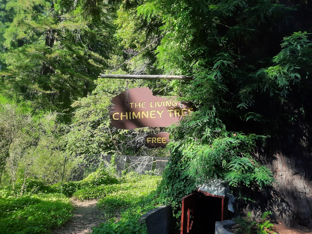 Chimney Tree Grill | restaurant | 1111 Avenue of the Giants, Phillipsville, CA 95559, USA | 7079232265 OR +1 707-923-2265