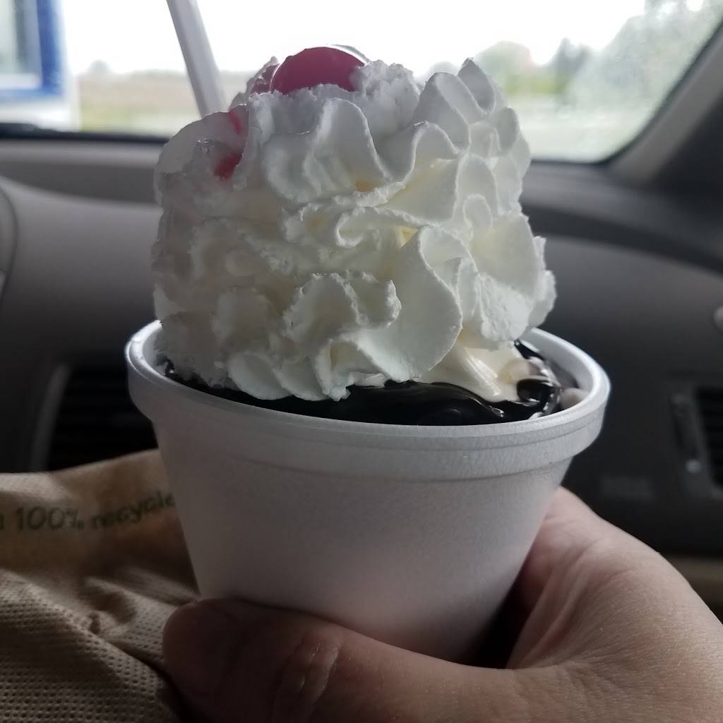 Roys Dixie Delight | restaurant | 10916 S Dixie Hwy, Erie, MI 48133, USA | 7343177697 OR +1 734-317-7697