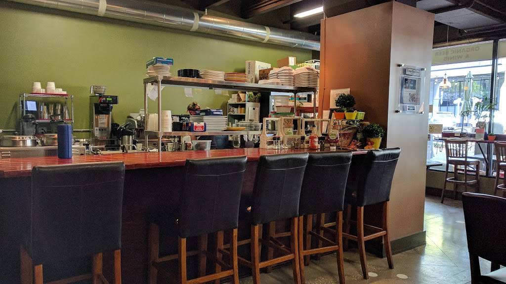 Mickeys Cafe & Organics | restaurant | 318 Central Ave, St. Petersburg, FL 33701, USA | 7278519832 OR +1 727-851-9832