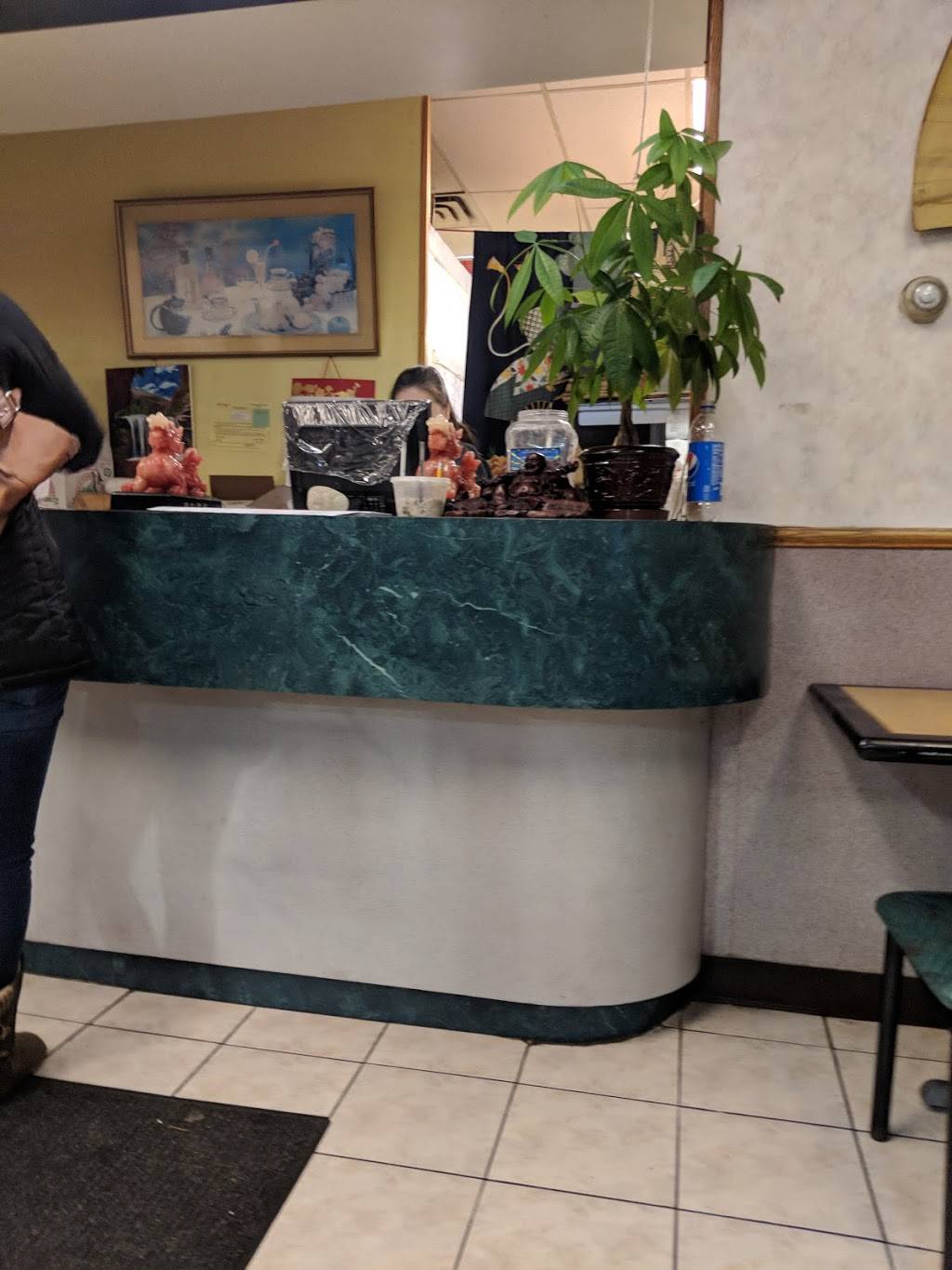 New Dragon Garden Restaurant | restaurant | 145 Vly Rd, Schenectady, NY 12309, USA | 5188693888 OR +1 518-869-3888