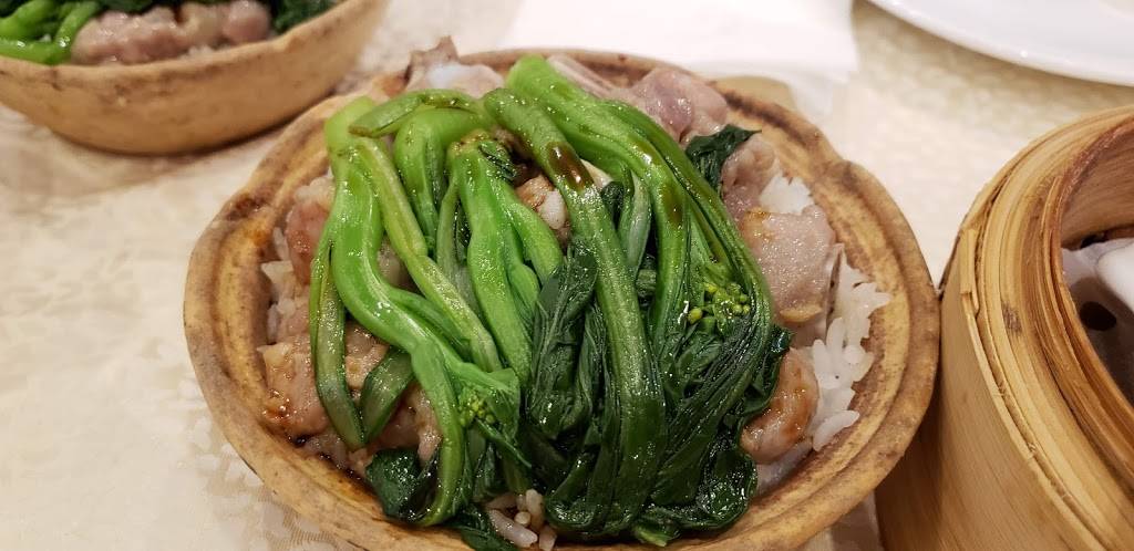 New East Ocean Palace | restaurant | 113-09 Queens Blvd, Forest Hills, NY 11375, USA | 7182681668 OR +1 718-268-1668