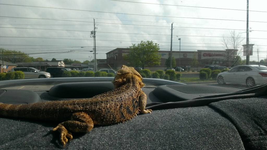 Boston Market | restaurant | 1244 W 86th St, Indianapolis, IN 46260, USA | 3178449020 OR +1 317-844-9020