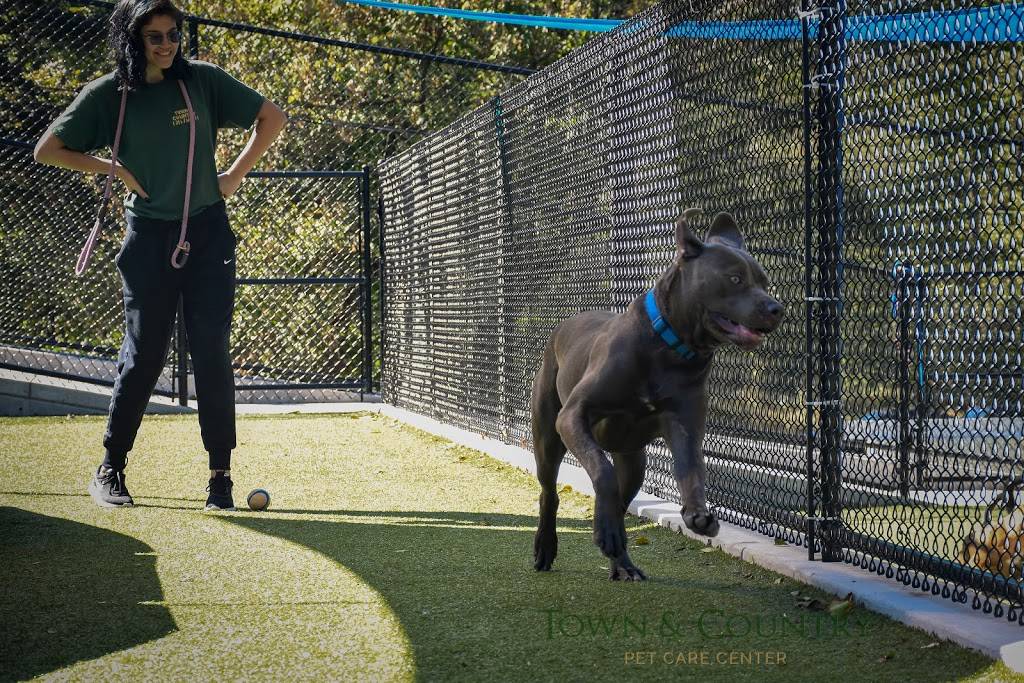 Town and Country Pet Care Center | restaurant | 393 Langhorne Ave, Langhorne, PA 19053, USA | 2157523661 OR +1 215-752-3661