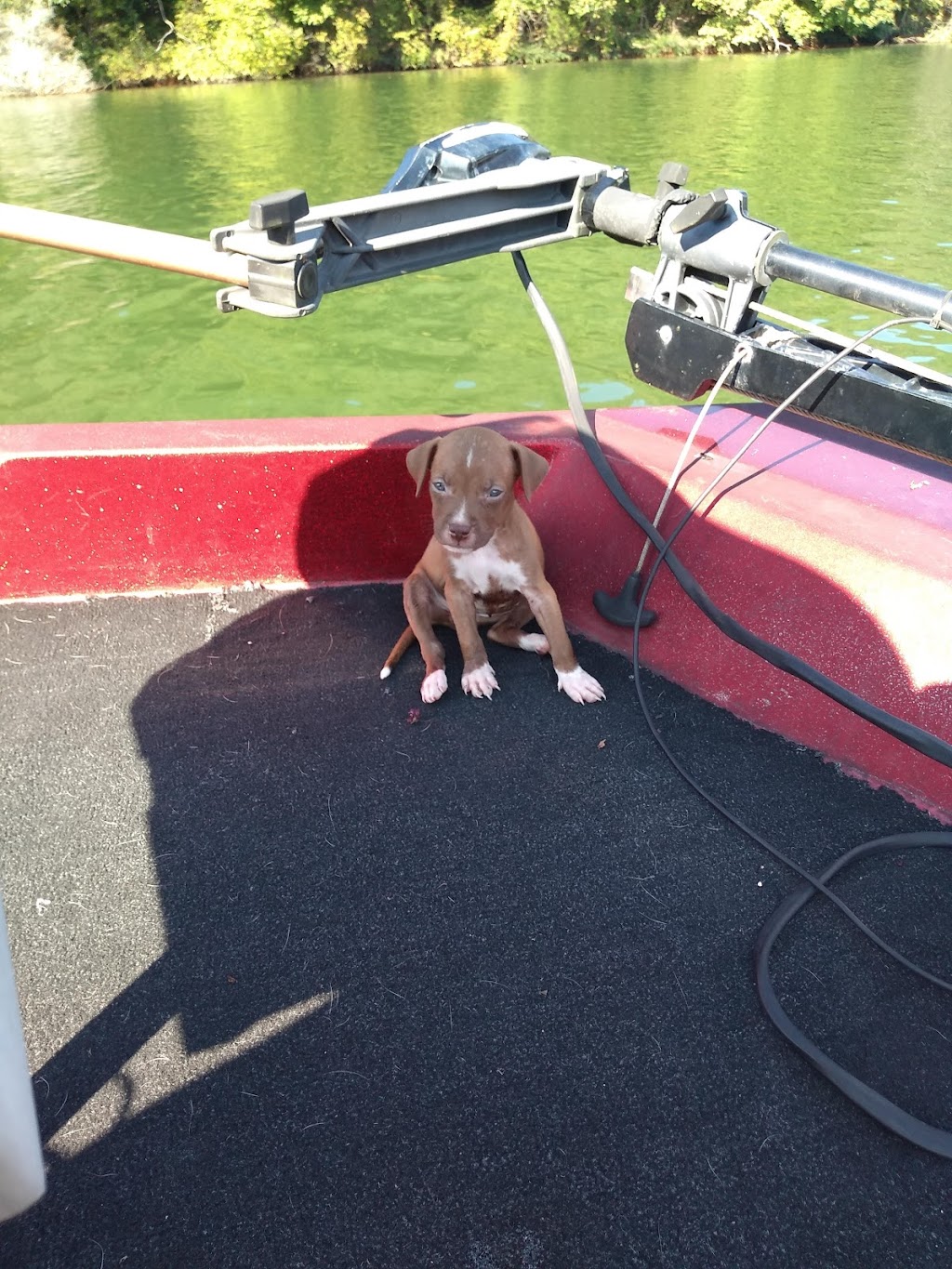 Hard Dock Cafe | restaurant | 175 Marina Ln, Winchester, TN 37398, USA | 9319674509 OR +1 931-967-4509