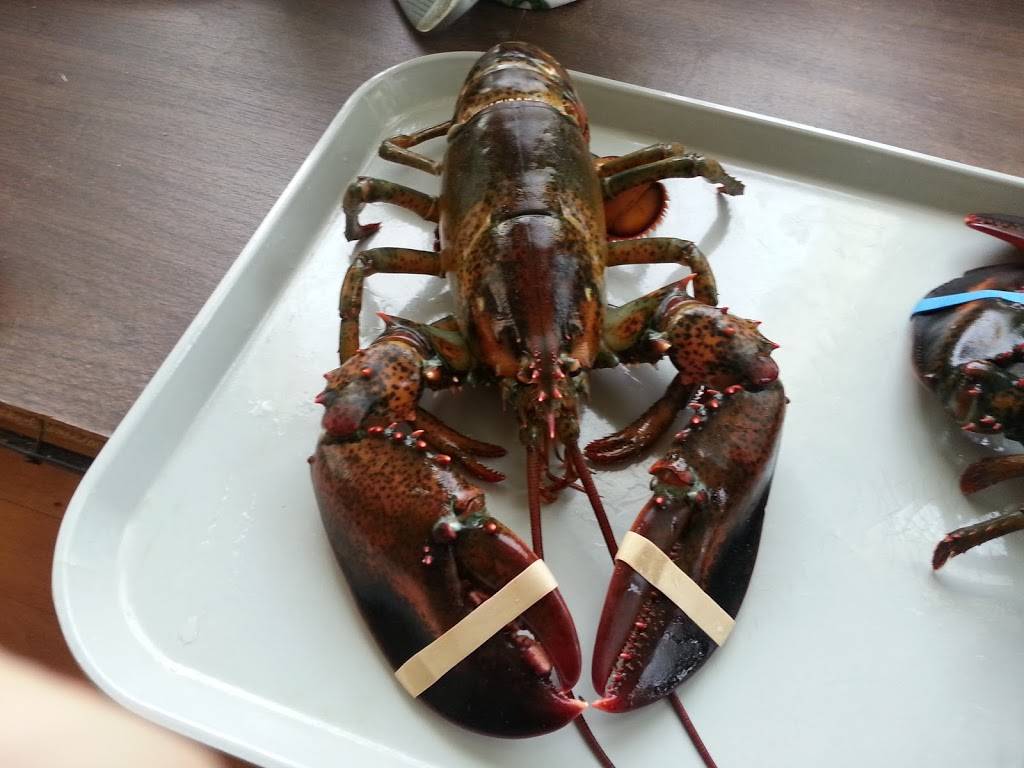Simply Lobsters | restaurant | 1290 Lisbon St, Lewiston, ME 04240, USA | 8007963189 OR +1 800-796-3189