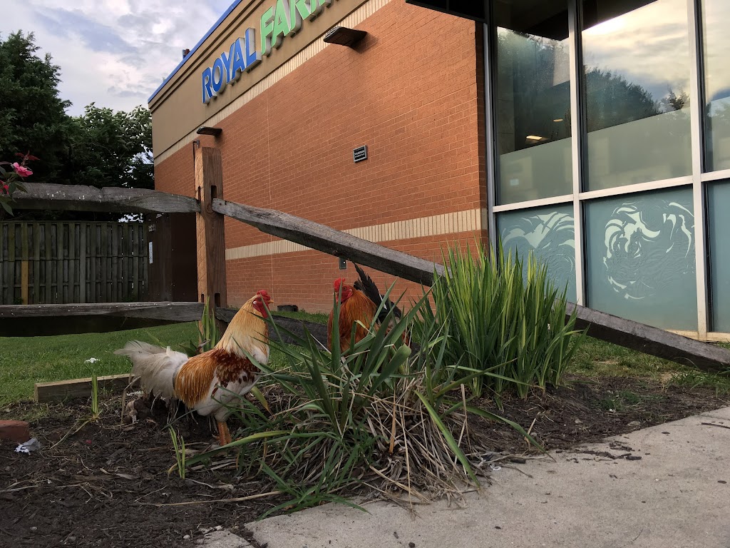 Royal Farms 1959 | meal takeaway | 20474 Lankford Hwy, Parksley, VA 23421, USA | 7576651120 OR +1 757-665-1120