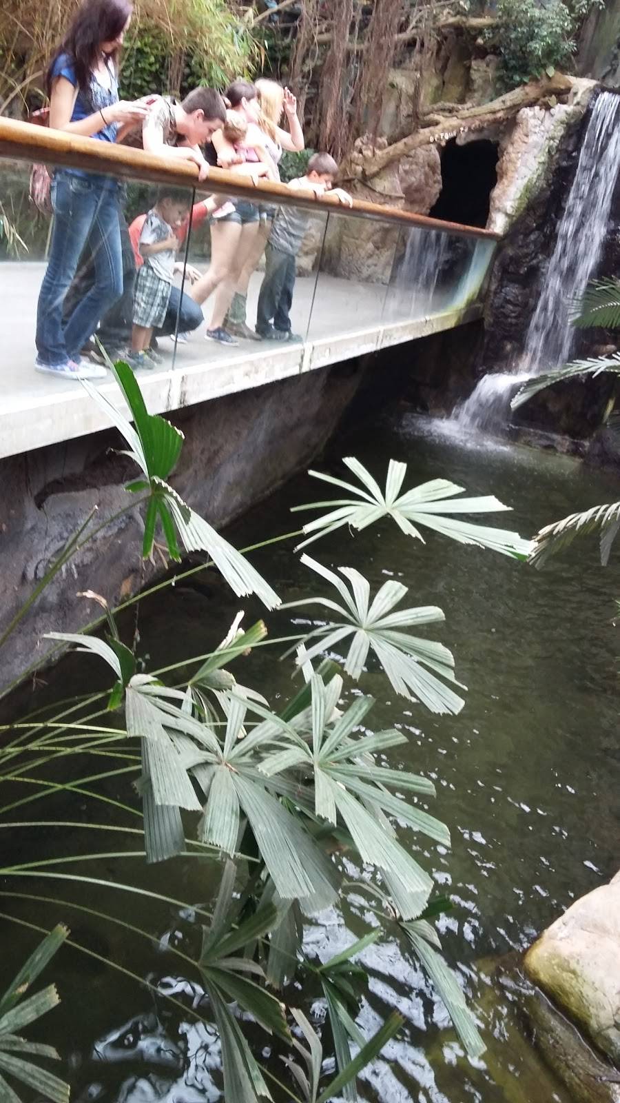 Durham TreeTops Restaurant | restaurant | 3701 S 10th St, Omaha, NE 68107, USA | 4027338401 OR +1 402-733-8401