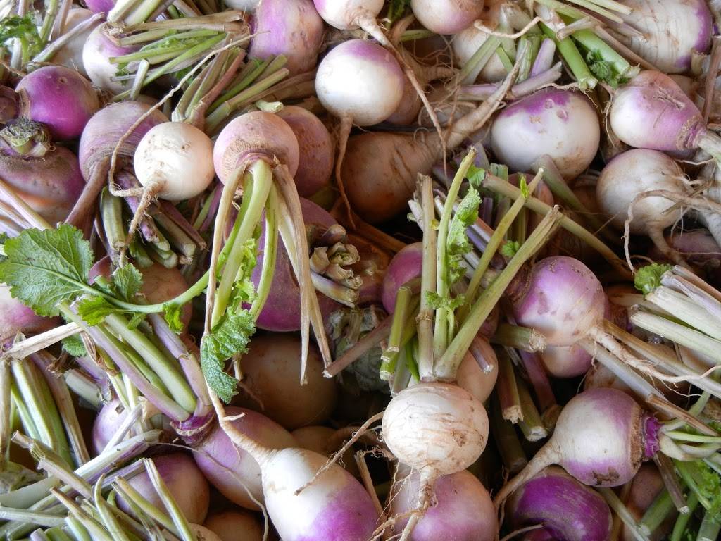 Hershbergers Farm and Bakery | bakery | 5452 OH-557, Millersburg, OH 44654, USA | 3306746096 OR +1 330-674-6096