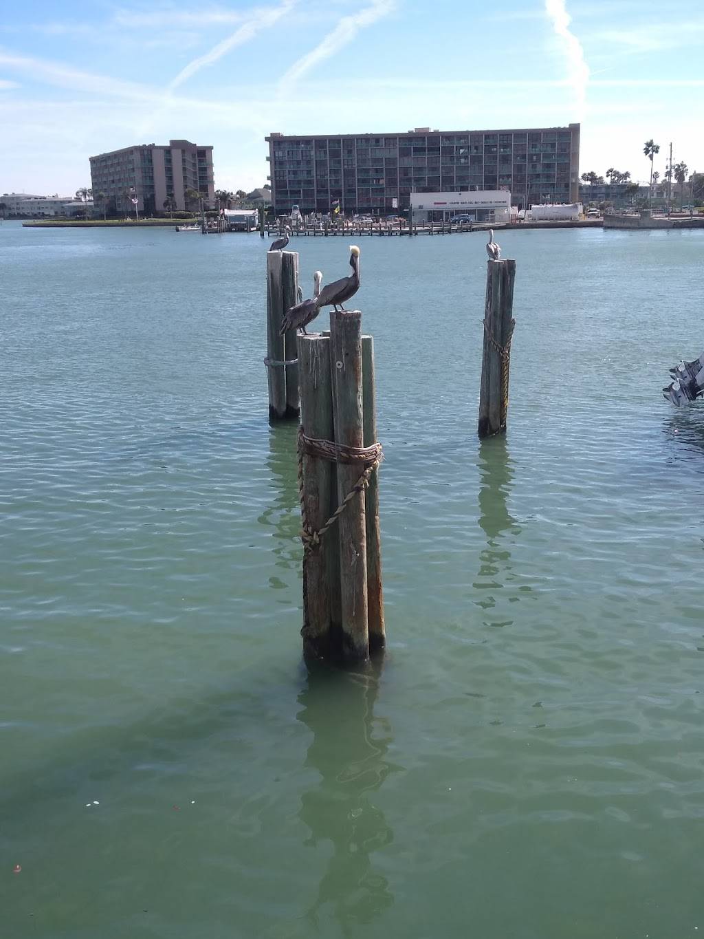 Beach Bites Café | cafe | 12961 Village Blvd, Madeira Beach, FL 33708, USA | 7273174300 OR +1 727-317-4300