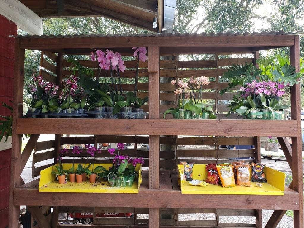 Family farms inc.U-Pick |  | 14950 SW 14th St, Davie, FL 33326, USA | 9548042850 OR +1 954-804-2850