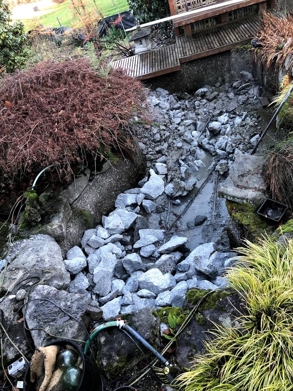 Chilis Grill & Bar | restaurant | Terminal D, Las Vegas, NV 89119, USA | 7578250348 OR +1 757-825-0348