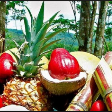 Royal Caribbean - Island Delight | restaurant | 31 Crystal St, East Stroudsburg, PA 18301, USA | 5704241903 OR +1 570-424-1903