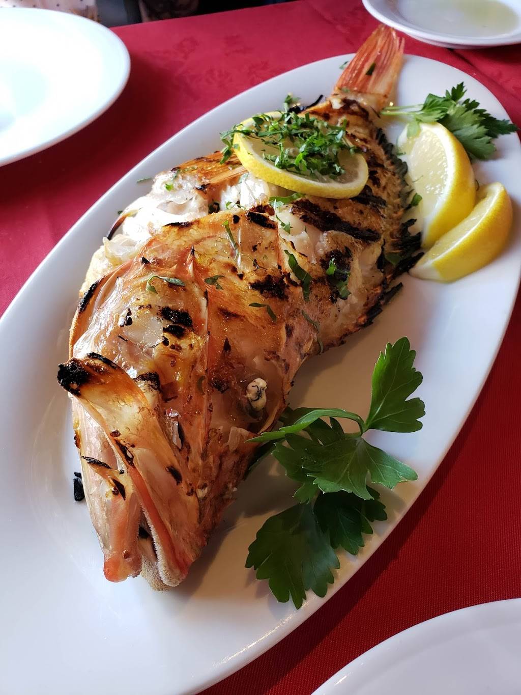 Josos | restaurant | 202 Davenport Rd, Toronto, ON M5R 1J2, Canada | 4169251903 OR +1 416-925-1903