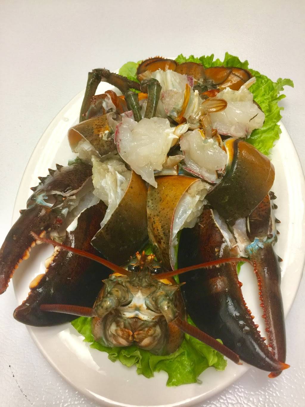 Fantasy | restaurant | 1520 E Washington St, Petaluma, CA 94954, USA | 7076581866 OR +1 707-658-1866