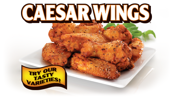 Little Caesars Pizza | meal takeaway | 1701 Welsh Rd, Philadelphia, PA 19115, USA | 2155166700 OR +1 215-516-6700