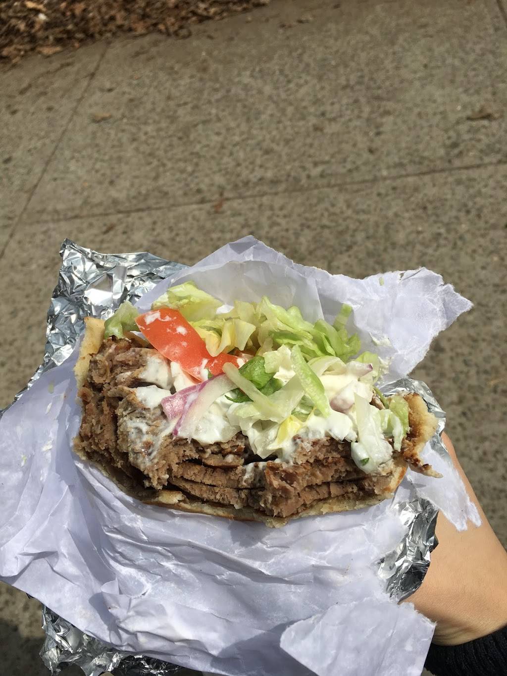 Georges Souvlaki | restaurant | 7006 Fort Hamilton Pkwy, Brooklyn, NY 11228, USA | 3477458513 OR +1 347-745-8513
