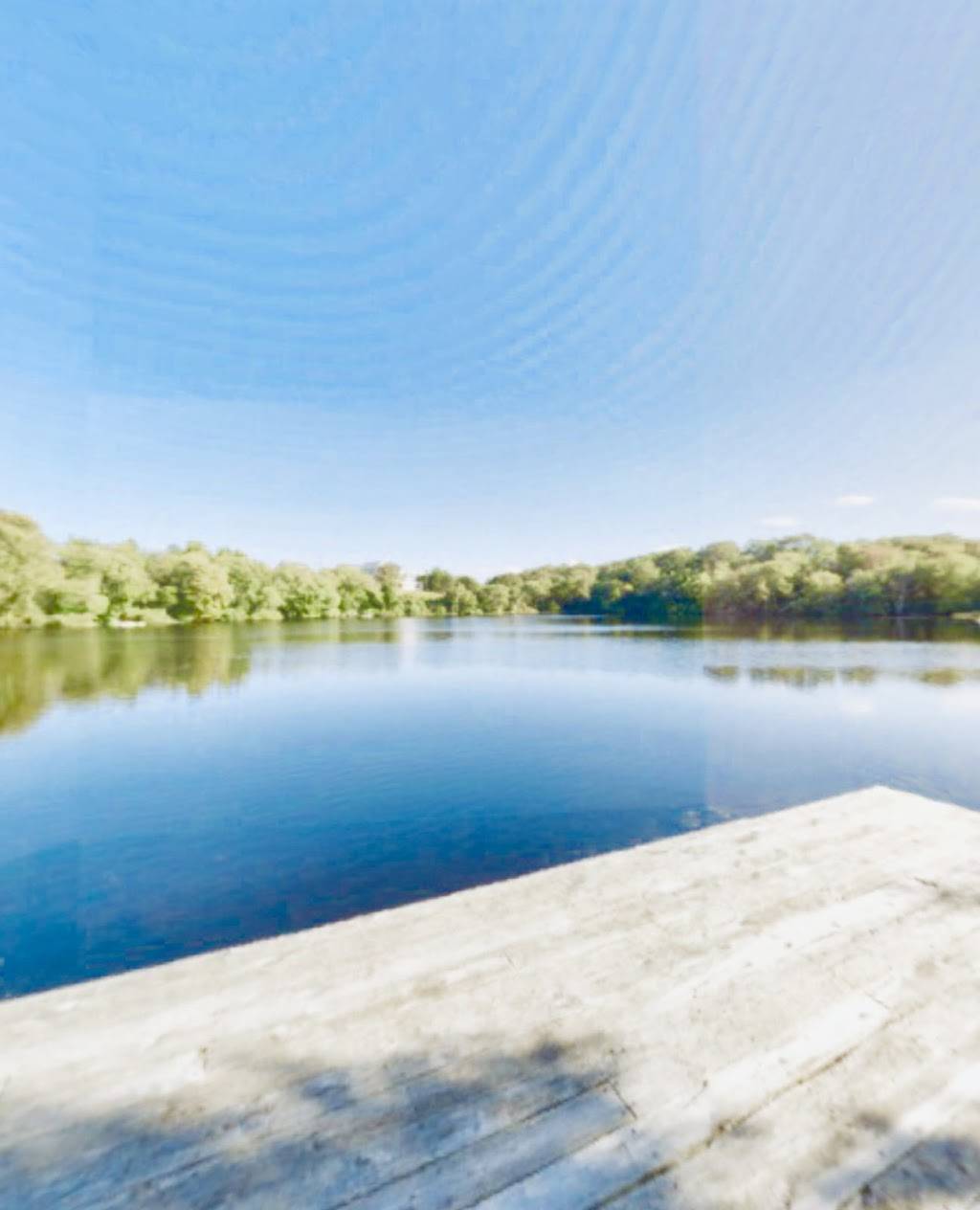 GRAY’S VIRTUAL 3-D TOUR’S | shopping mall | Quincy, MA 02169, USA | 8574177381 OR +1 857-417-7381