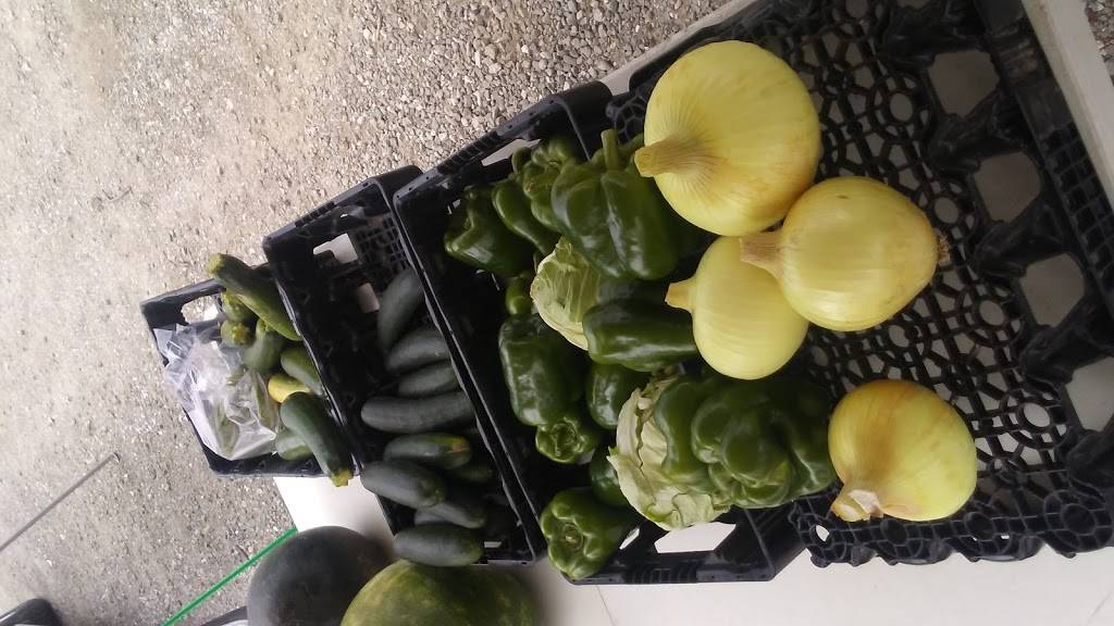 Pizza 150 Inc. | restaurant | 9919 W US-150, Edwards, IL 61528, USA | 3096915442 OR +1 309-691-5442