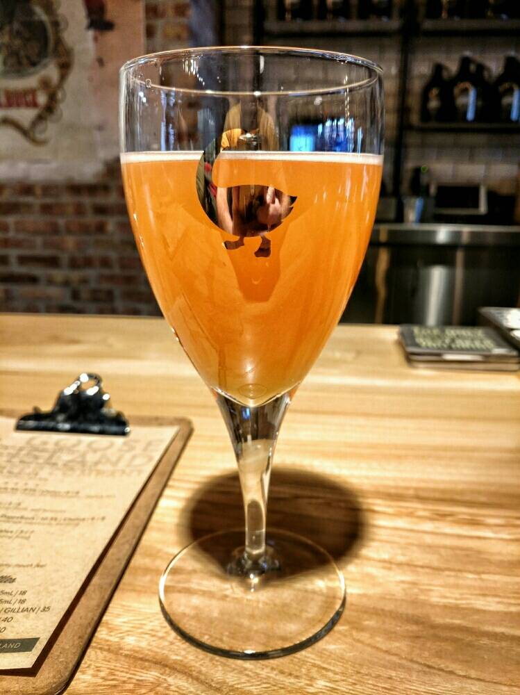 Goose Island Beer Company | restaurant | 1800 W Fulton St, Chicago, IL 60612, USA | 8004667363 OR +1 800-466-7363