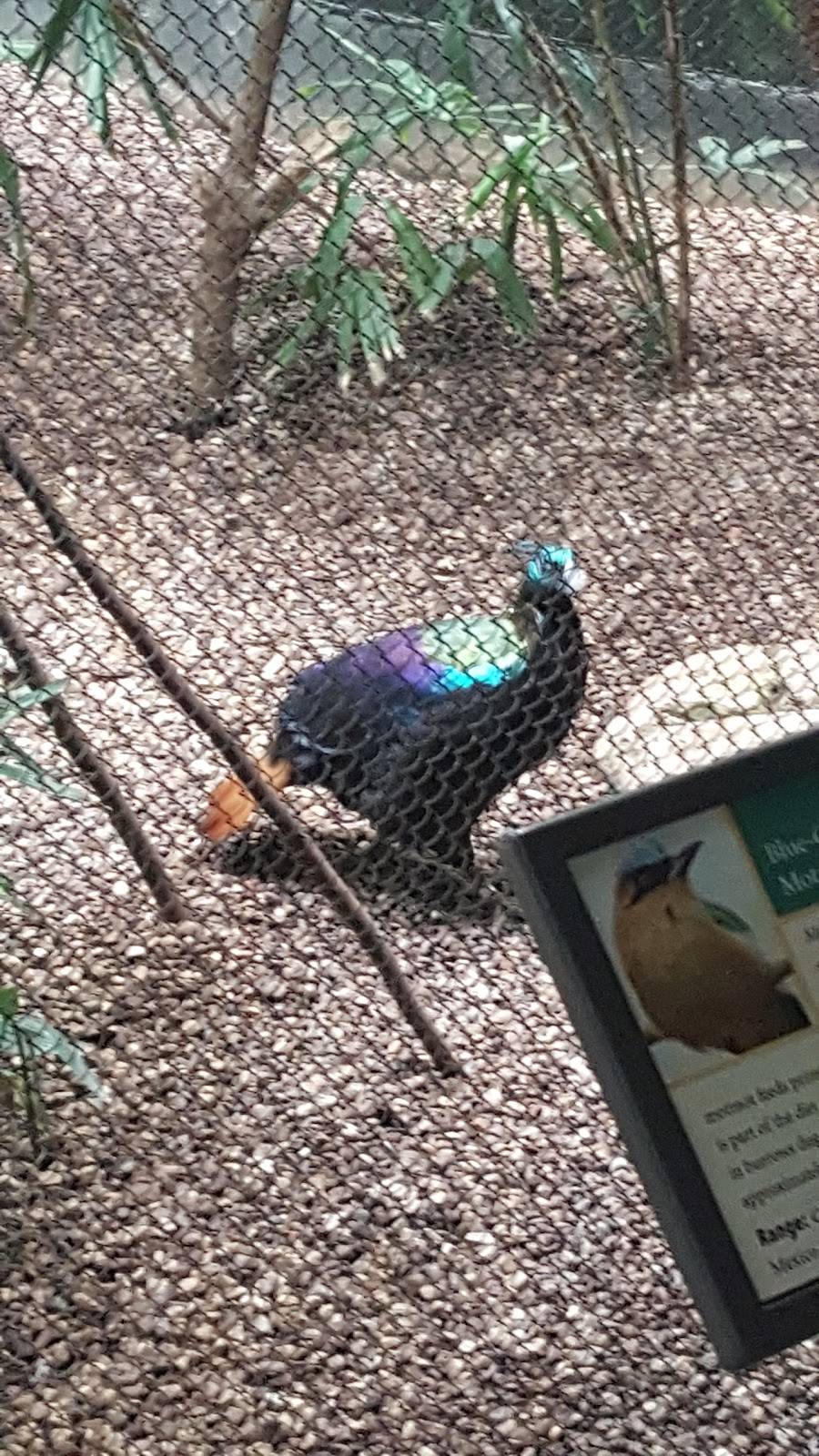 Raouls Bar & Grill | restaurant | 3214 W 47th St, Chicago, IL 60632, USA | 7738474379 OR +1 773-847-4379