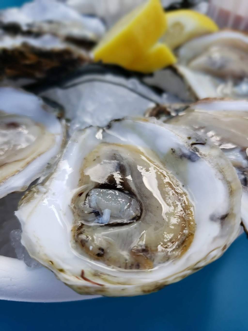 Boat Run Oyster Company | restaurant | 615 Channelside Dr Suite 5, Tampa, FL 33602, USA | 8136702370 OR +1 813-670-2370