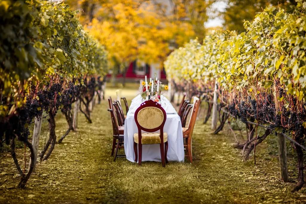 Grovedale Winery | restaurant | 71 Grovedale Ln, Wyalusing, PA 18853, USA | 5707461400 OR +1 570-746-1400