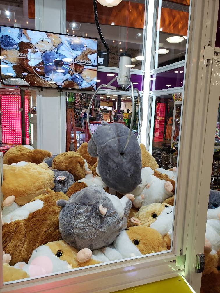 Tilt Studio Eastwood | meal takeaway | 5555 Youngstown Warren Rd, Niles, OH 44446, USA | 2342287677 OR +1 234-228-7677