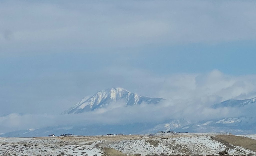 Joes Restaurant and Bar | restaurant | 277 Hwy 92, Crawford, CO 81415, USA | 9709211036 OR +1 970-921-1036