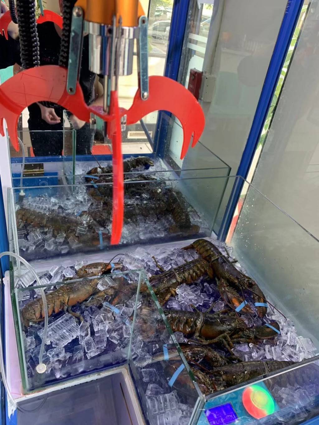 ipot plus | restaurant | 121 El Camino Real, Millbrae, CA 94030, USA | 6508678860 OR +1 650-867-8860