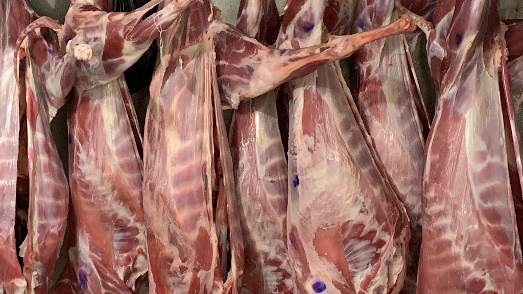 Jerusalem Market & Restaurant | restaurant | 4794 Summer Ave, Memphis, TN 38122, USA | 9017676960 OR +1 901-767-6960