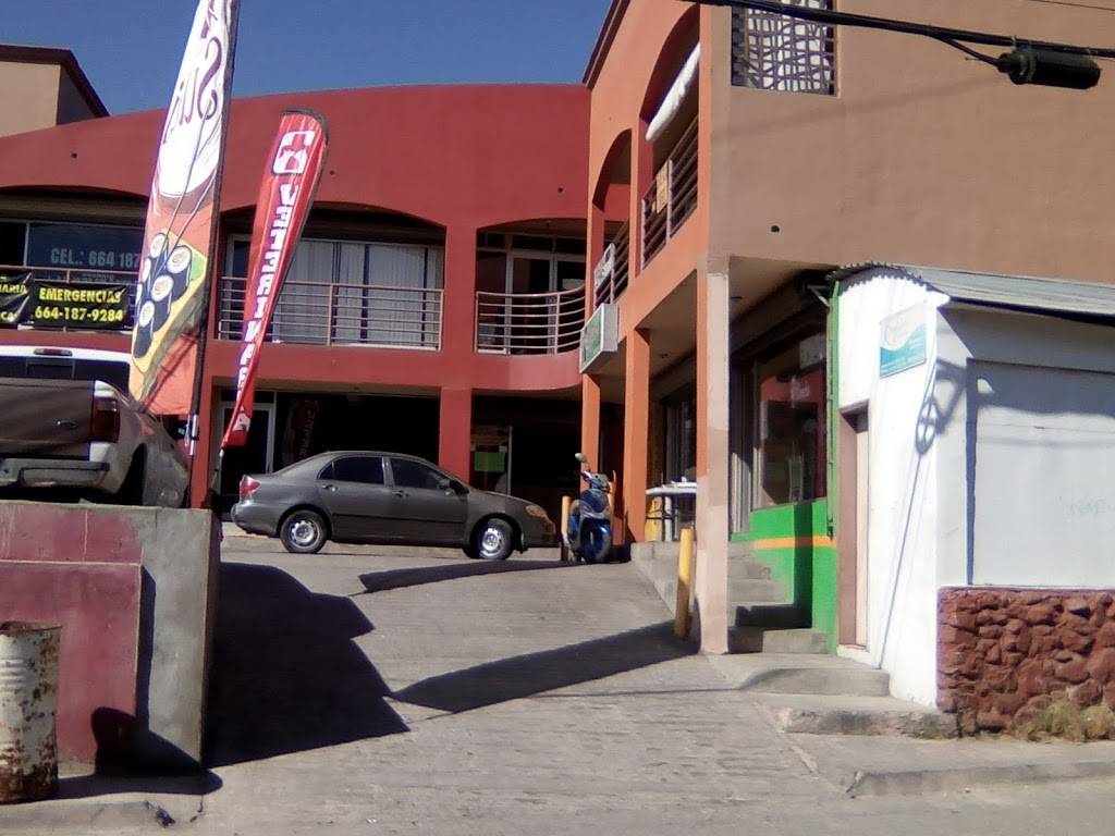 Sushi Panda | restaurant | Alamar, 22465 Tijuana, B.C., Mexico | 016649766919 OR +52 664 976 6919