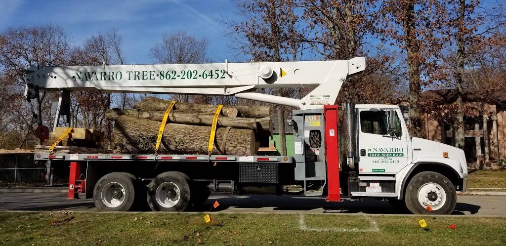 Enzo Pizzeria & Restaurant | restaurant | 150 Valley Rd, Montclair, NJ 07042, USA | 9735090999 OR +1 973-509-0999