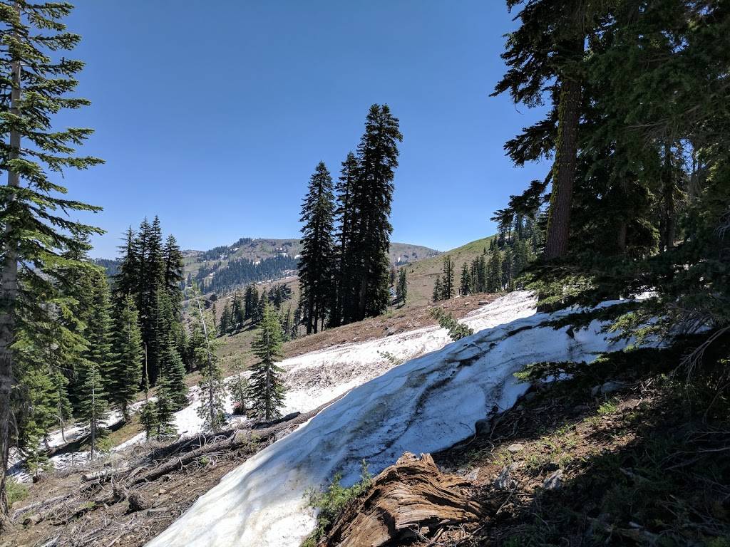 Sugar Bowl Resort | restaurant | 629 Sugar Bowl Rd, Norden, CA 95724, USA | 5304269000 OR +1 530-426-9000