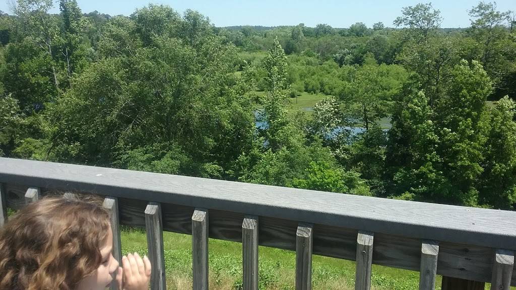 Hot Wings Plus | restaurant | 3479 Pio Nono Ave, Macon, GA 31206, USA | 4782576870 OR +1 478-257-6870