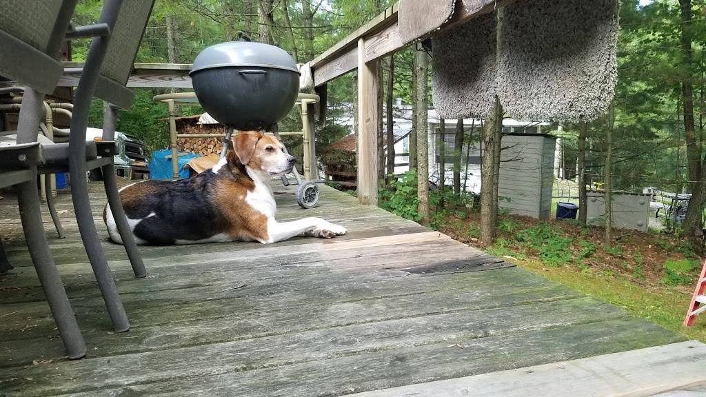 Lake Tomahawk Village Cafe & Pub | cafe | 7249 Bradley St, Lake Tomahawk, WI 54539, USA | 7152772050 OR +1 715-277-2050