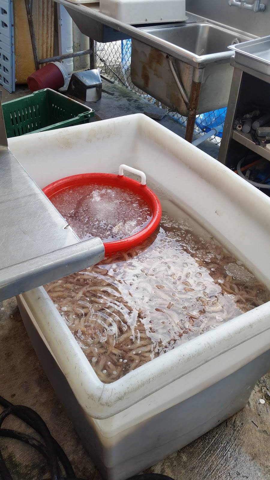 Tropical Lobster Corporation | restaurant | 3195 NW 20th St, Miami, FL 33142, USA | 7863345559 OR +1 786-334-5559