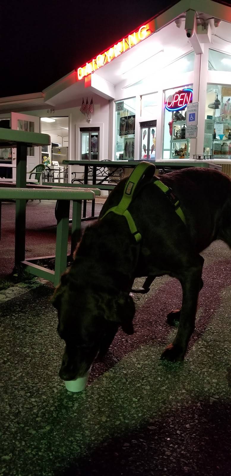 Dairy King | restaurant | 405 W State St, Black Mountain, NC 28711, USA | 8286698384 OR +1 828-669-8384