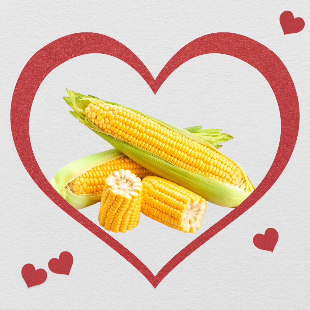 Environmental Surroundings | restaurant | 24763 SW 177th Ave, Homestead, FL 33031, USA | 3057902576 OR +1 305-790-2576