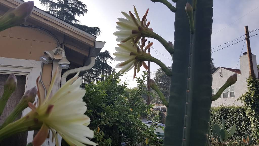 Monte Carlo Restaurant & Banquet | restaurant | 7258 Foothill Blvd, Tujunga, CA 91042, USA | 8183520199 OR +1 818-352-0199