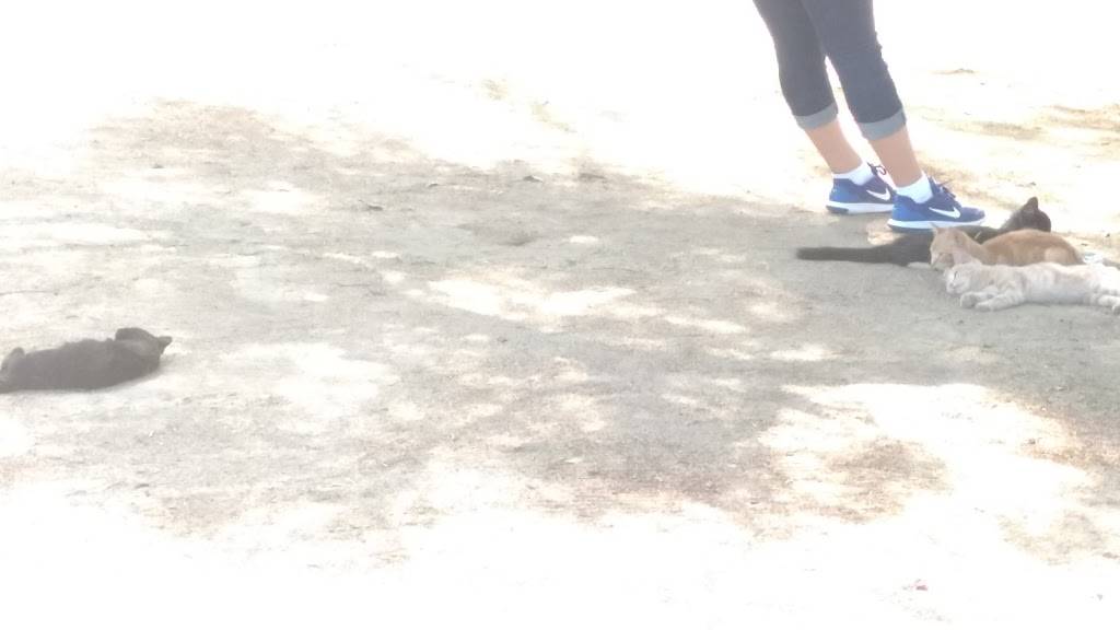 BARBACO TULANCINGO | restaurant | Tecate - Tijuana, Quintas Campestres El Florido, Seco, B.C., Mexico | 016642500634 OR +52 664 250 0634