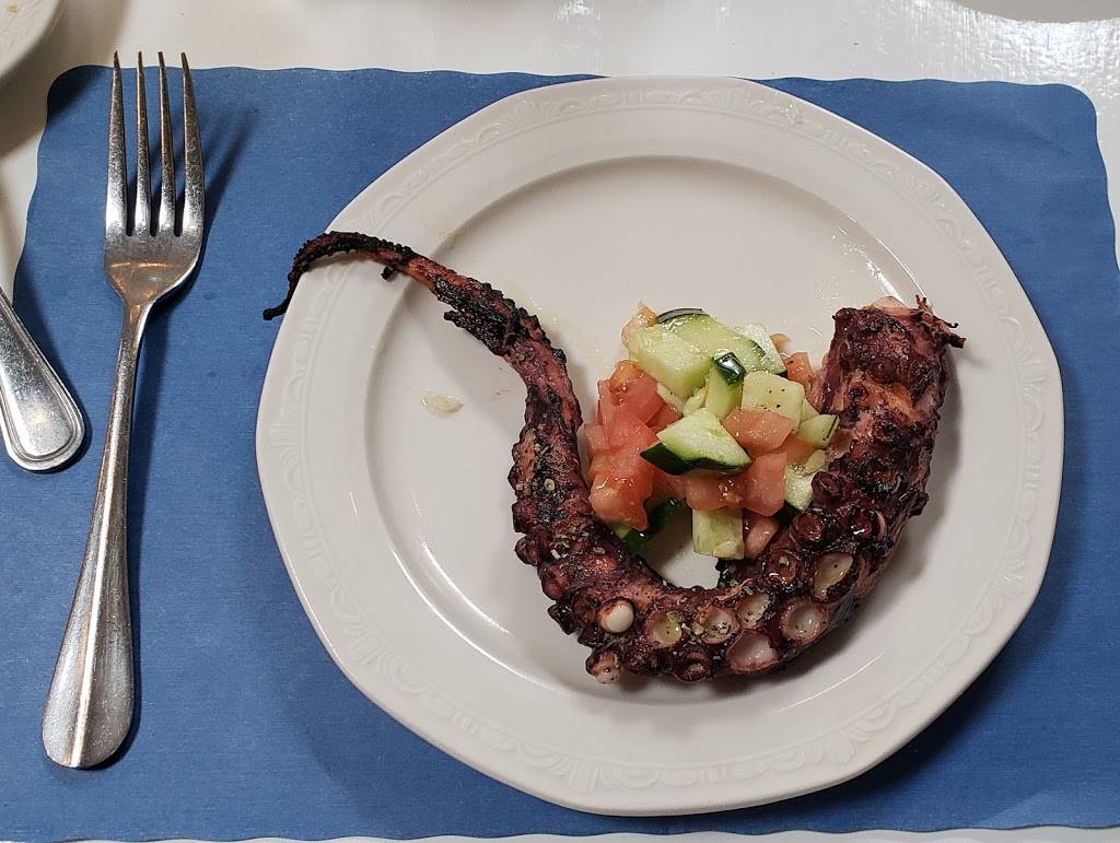 Ayhans Shish-Kebab Restaurant | restaurant | 283 Main St, Port Washington, NY 11050, USA | 5168839309 OR +1 516-883-9309