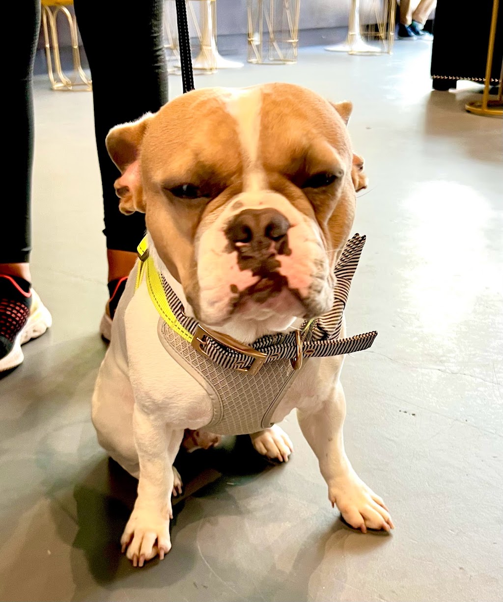 East Village Nutrition | restaurant | 304 11th Ave, San Diego, CA 92101, USA | 6194848877 OR +1 619-484-8877