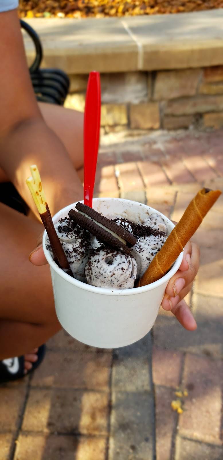 Wonders Ice Cream - Maple Grove | restaurant | 7195, 11630 Fountains Dr, Maple Grove, MN 55369, USA | 7632734676 OR +1 763-273-4676