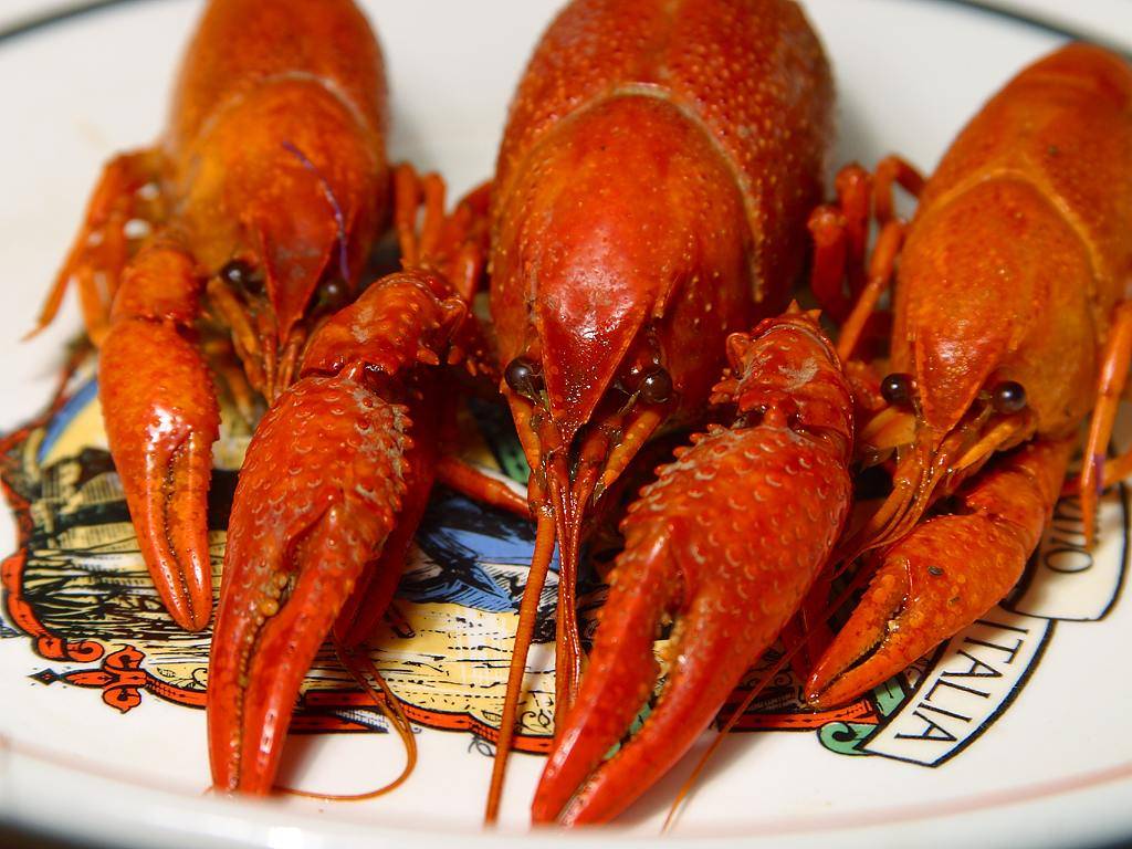 Wild Crab Seafood | restaurant | 275 Park Terrace Dr Suite 200, Columbia, SC 29212, USA | 8036618888 OR +1 803-661-8888