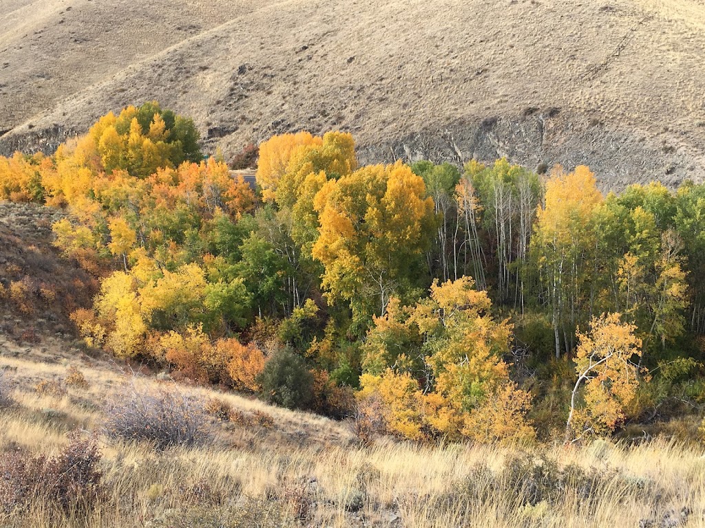 Woods Landing Resort | restaurant | 9 WY-10, Woods Landing-Jelm, WY 82063, USA | 3077459638 OR +1 307-745-9638