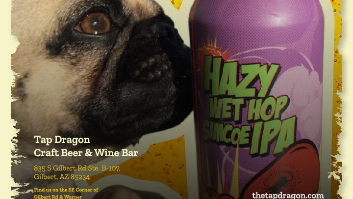 Tap Dragon Craft Beer & Wine Bar | restaurant | 835 S Gilbert Rd, Gilbert, AZ 85296, USA | 4808415566 OR +1 480-841-5566