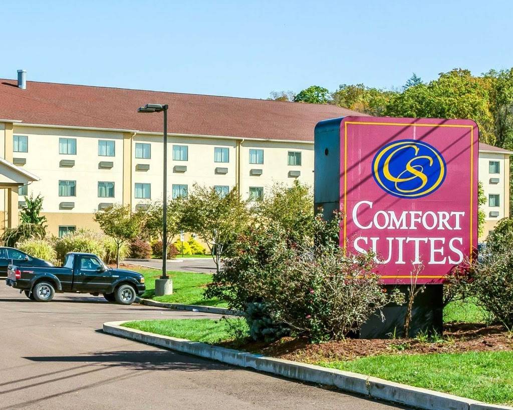 Comfort Suites | restaurant | 120 Plaza Dr, Bloomsburg, PA 17815, USA | 5703879100 OR +1 570-387-9100