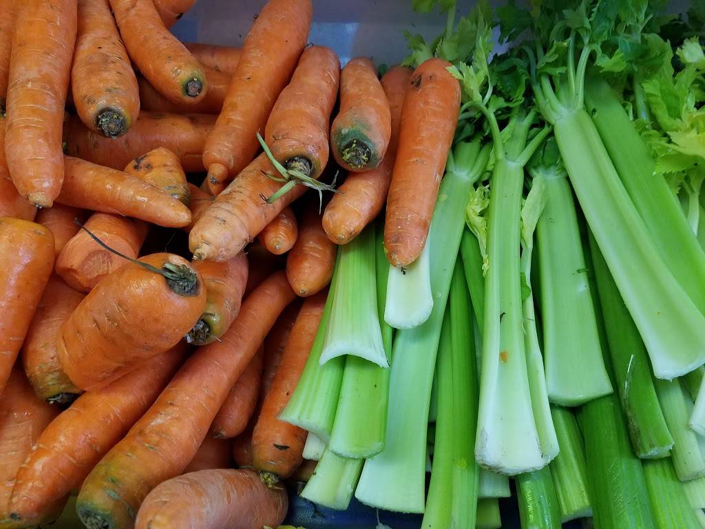 Planet Juice / delray beach | restaurant | 1724 S Federal Hwy, Delray Beach, FL 33483, USA | 5613302321 OR +1 561-330-2321