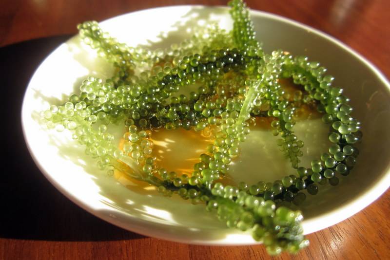 Cafe Zenon | restaurant | 251 N Lake Blvd, Tahoe City, CA 96145, USA | 5305831517 OR +1 530-583-1517